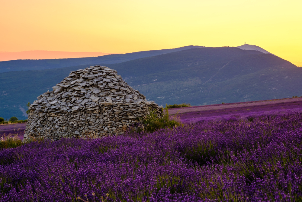 Provence-Alpes-Côte d'Azur