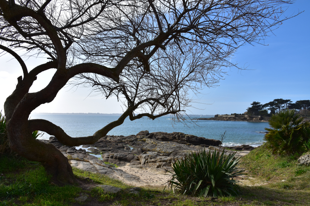 Camping de 150 places à 2.5 km de belles plages de Bretagne