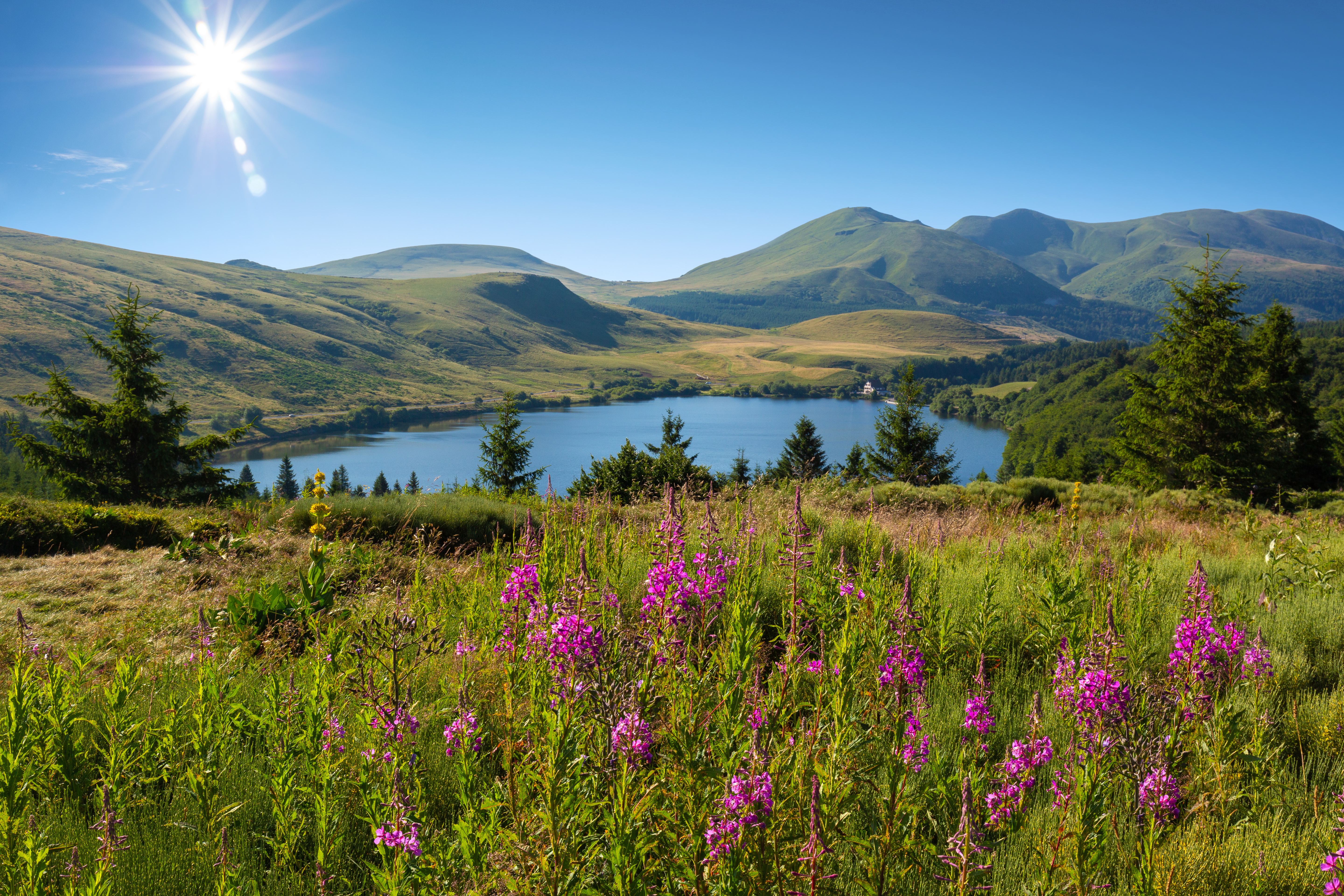 Auvergne-Rhône-Alpes