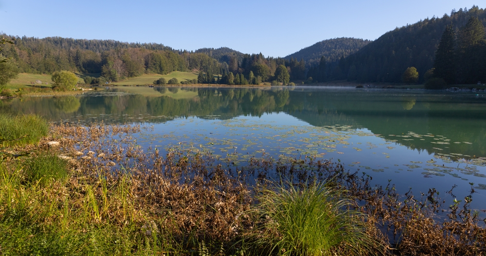 Auvergne-Rhône-Alpes