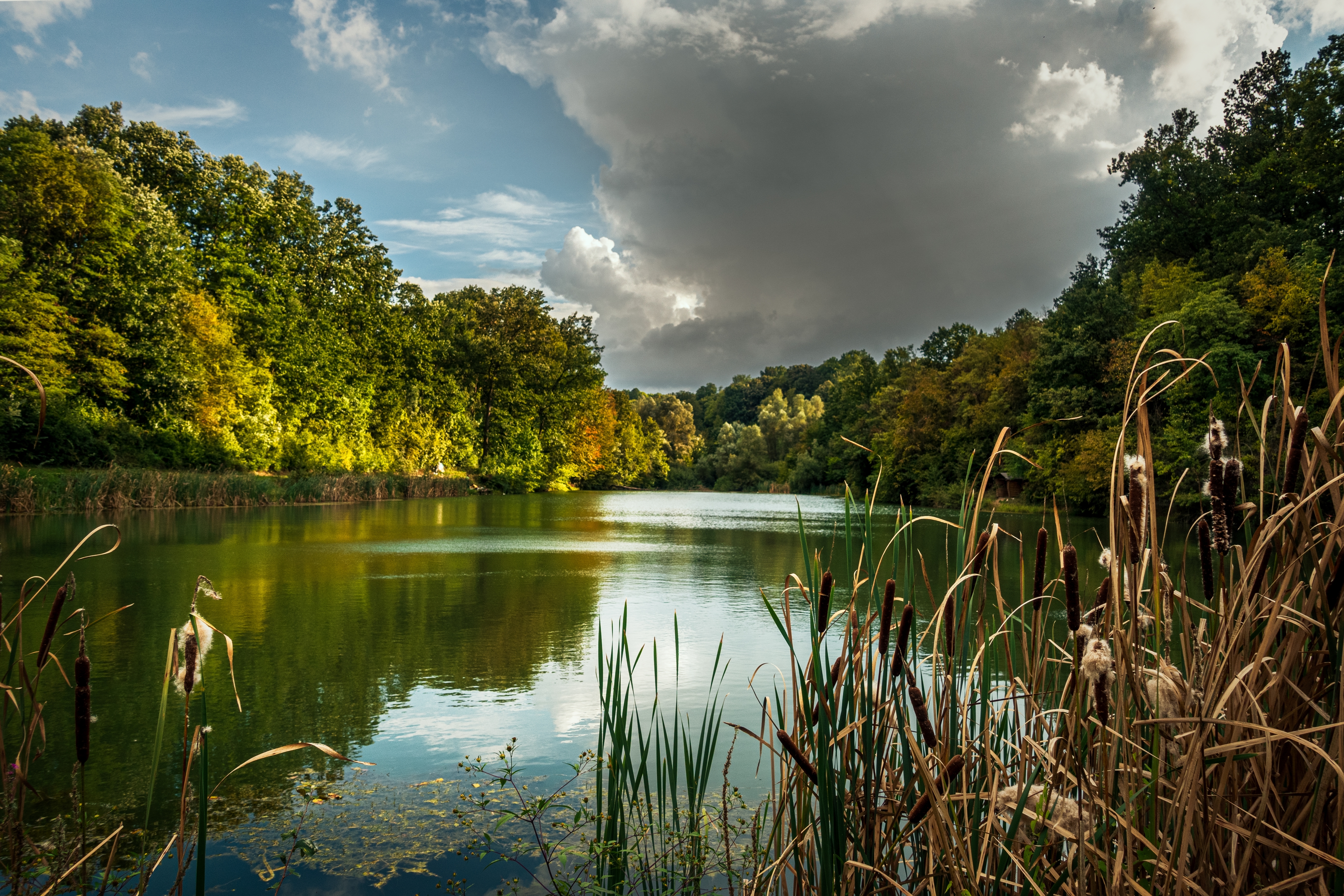 Pays de la Loire