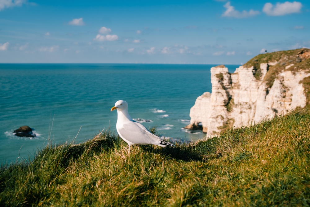 Normandie
